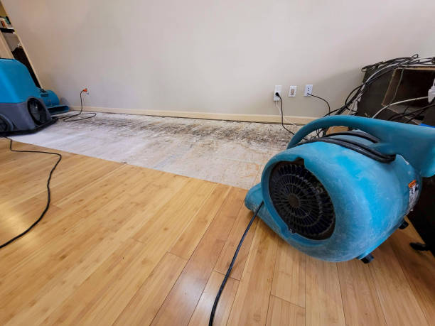 Professional Flood Damage Cleanup technician working in Smithfield, VA